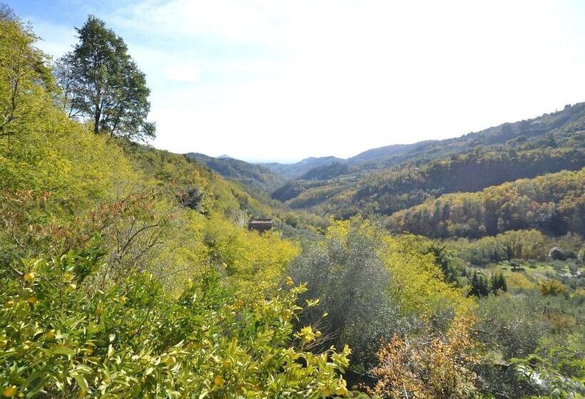 Cottage In Marliana With Garden
