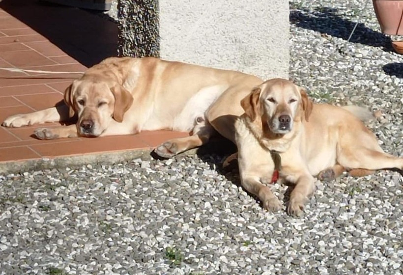 Authentic Tuscan Country Home Situated Between Pistoia And Lucca