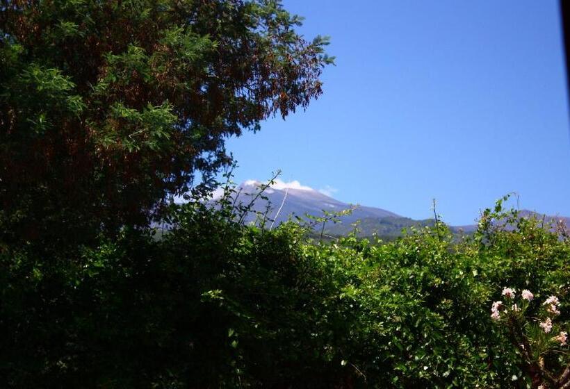 B&b Sotto I Pini