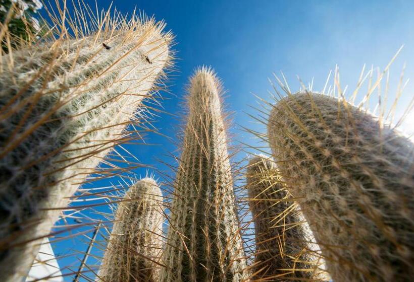 B&b Capo Torre Resort & Spa