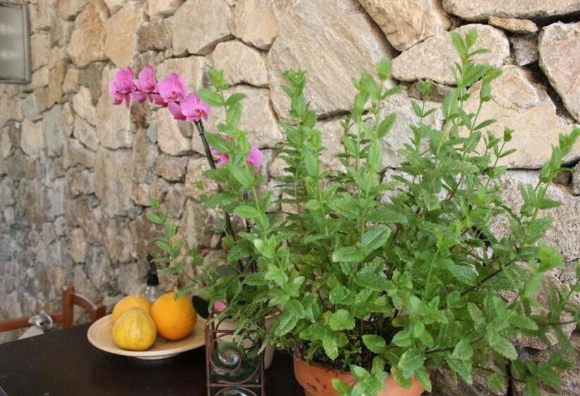 민박 Casale Coreallo