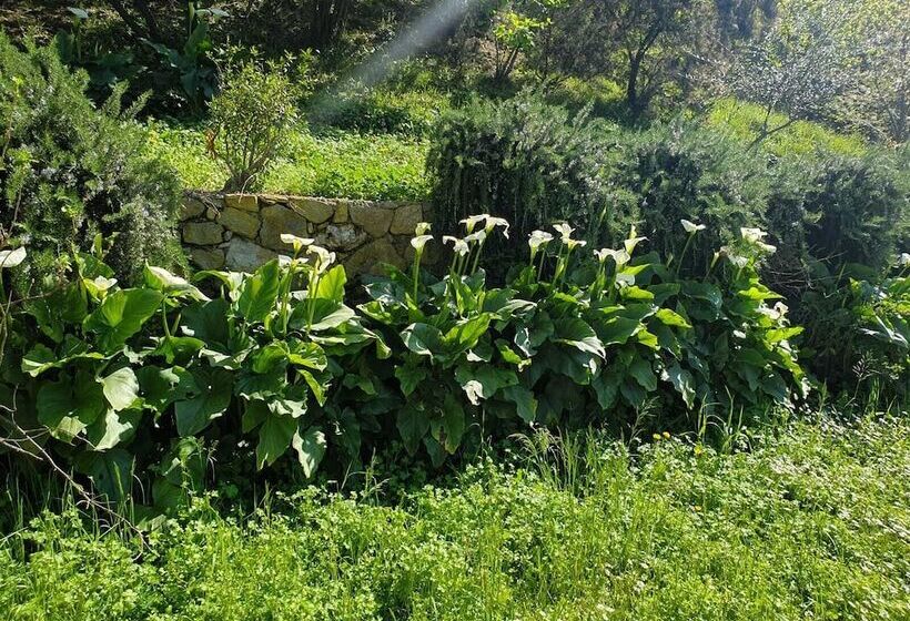 민박 Casale Coreallo