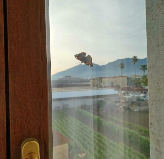 ベッドアンドブレックファースト Domus In Fonte