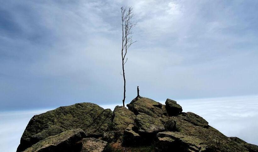 צימר L Americano Luxury Rooms