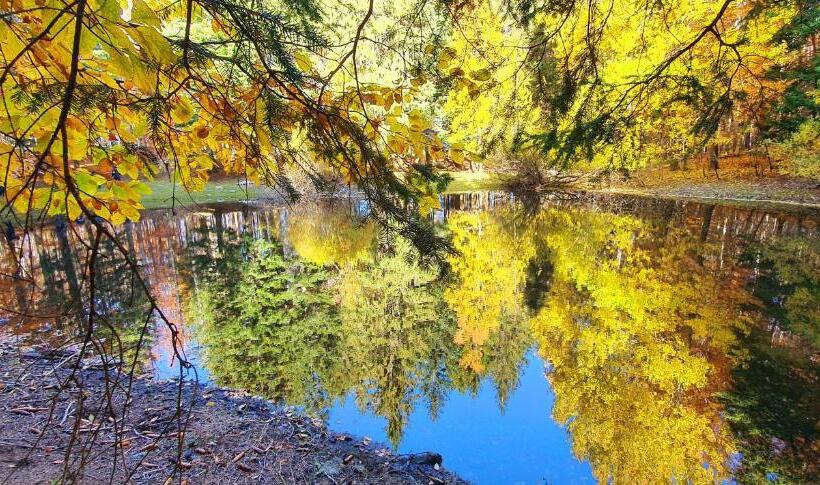 צימר L Americano Luxury Rooms