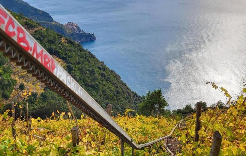 تختخواب و صبحانه L Americano Luxury Rooms