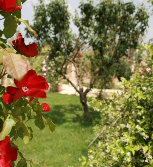 צימר L'ecce Sphero