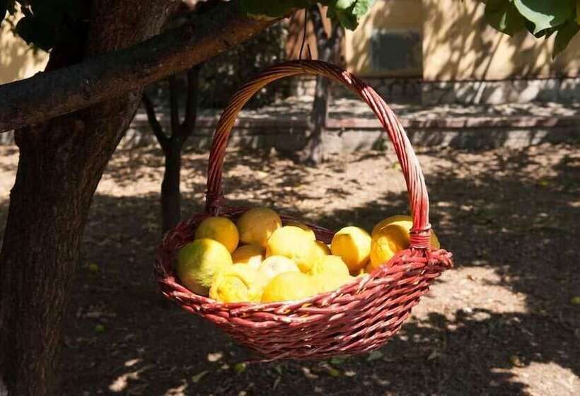ベッドアンドブレックファースト Nel Giardino Dei Limoni
