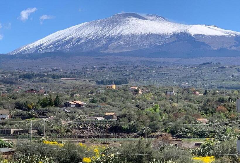 ベッドアンドブレックファースト The Lux