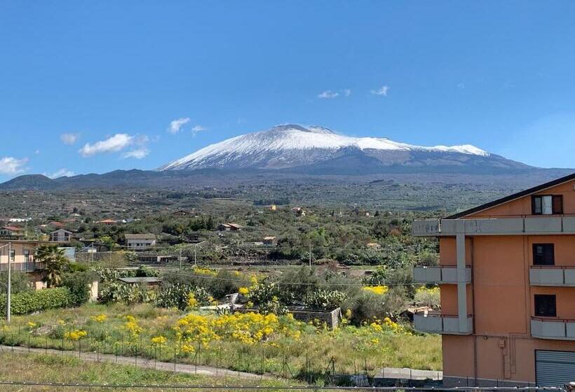 ベッドアンドブレックファースト The Lux