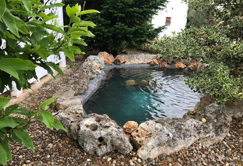 Bed and Breakfast Trulli Petra Chiara