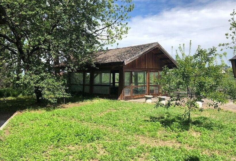 민박 Villa Bonelli Bed & Fest