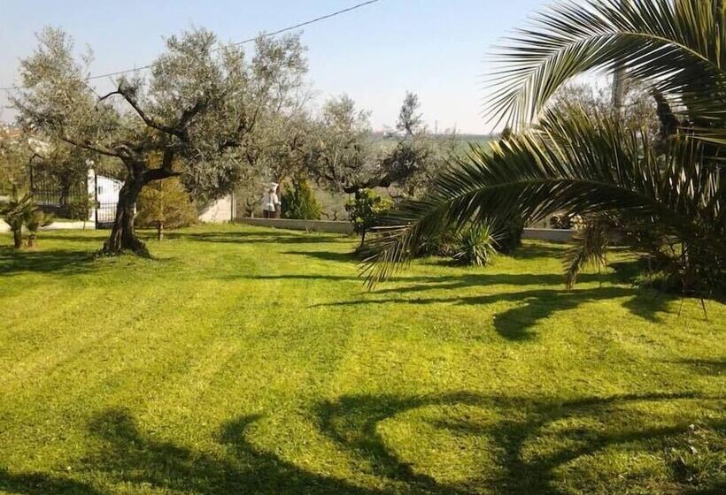 مبيت وإفطار Villa L'anfora