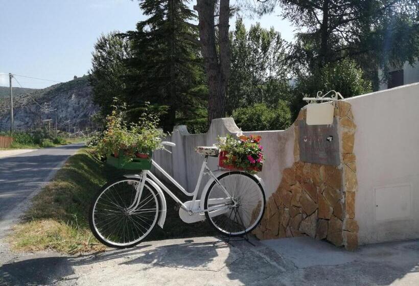 ベッドアンドブレックファースト Villa Oasi