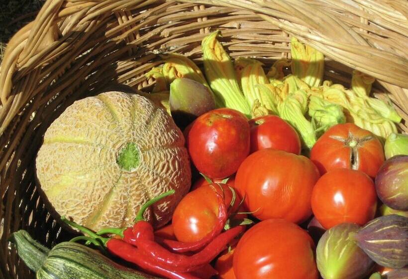 Cozy Cottage In Abbateggio With Garden