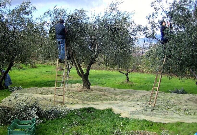 Cozy Cottage In Abbateggio With Garden