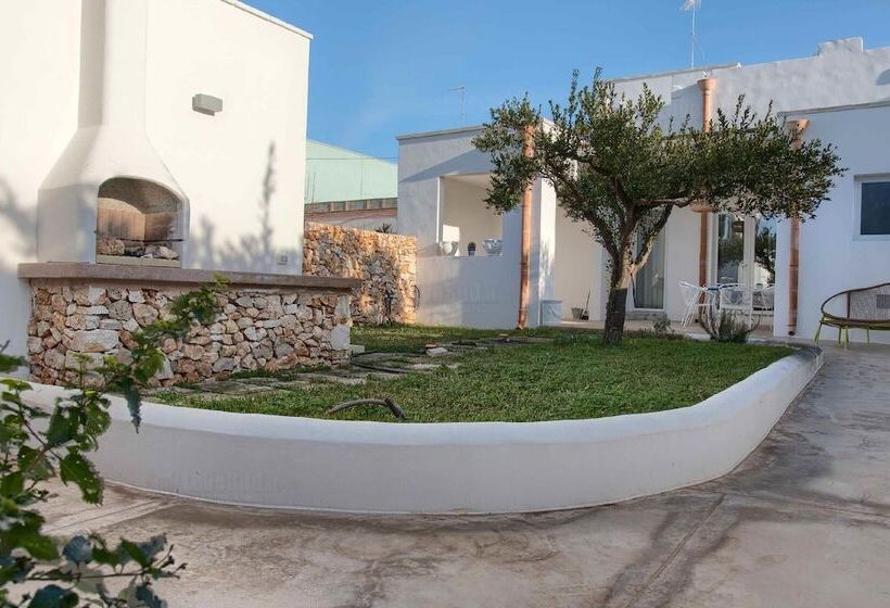 Deluxe Tangerine Court