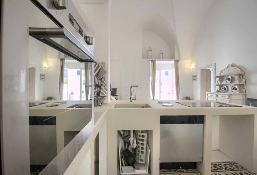 Deluxe Tangerine Court