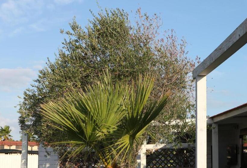 Хостел Torquemada Beach Club