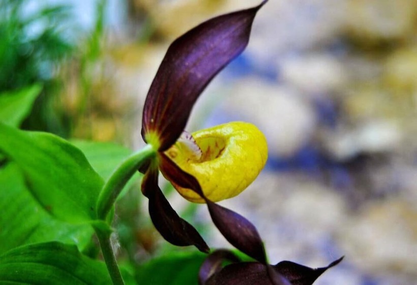 هتل Albergo La Torre