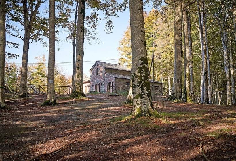 Отель Chalet Il Vecchio Rifugio