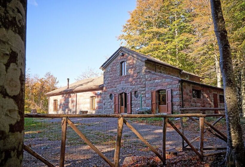 Отель Chalet Il Vecchio Rifugio
