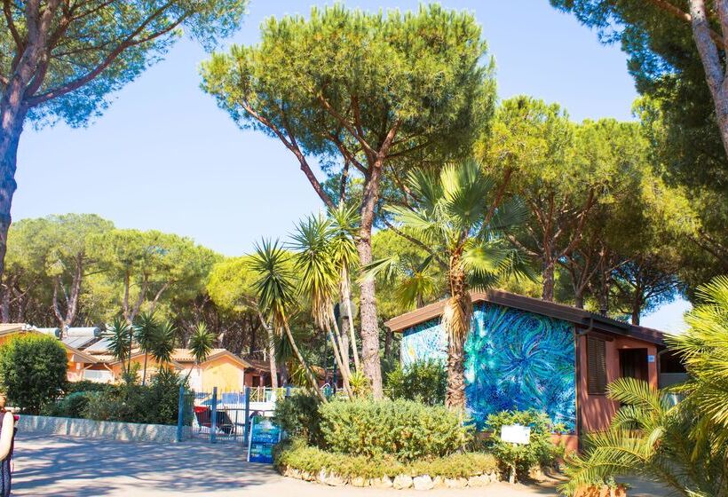 فندق Gitavillage Il Gabbiano