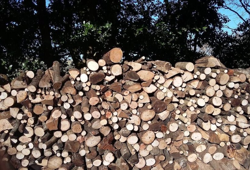 교외 호텔 Agriturismo Alle Rose