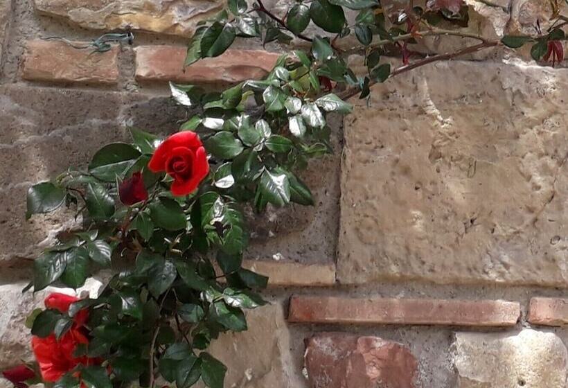 교외 호텔 Agriturismo Alle Rose