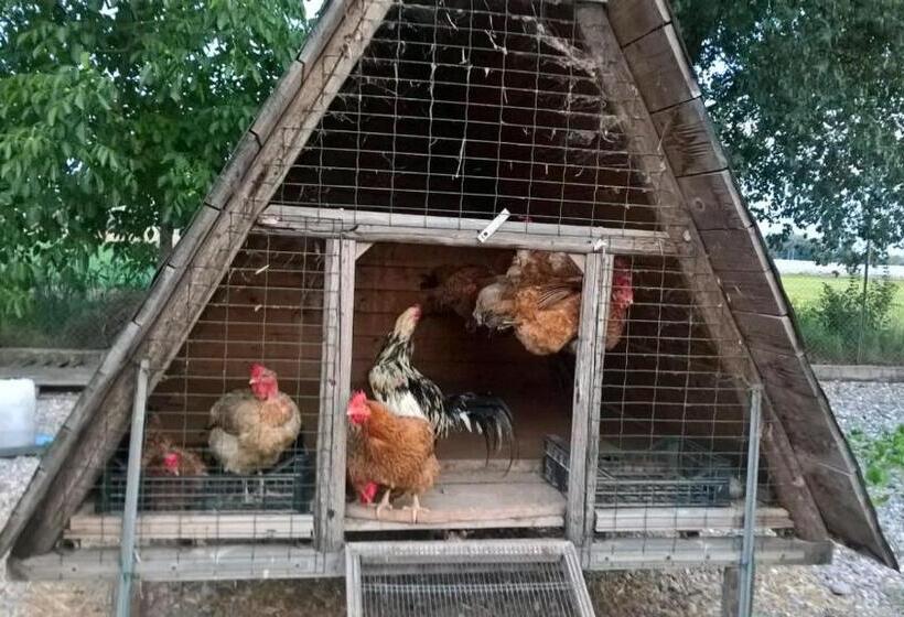 田舎風ホテル Agriturismo Cipolli E Podò Corte Carlini