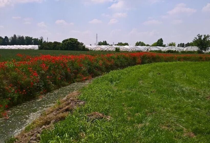 田舎風ホテル Agriturismo Cipolli E Podò Corte Carlini