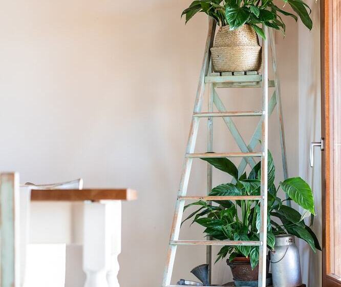 교외 호텔 Agriturismo Da Zeffi