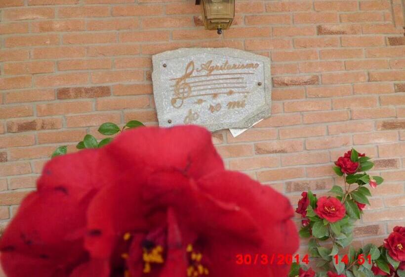 乡村酒店  Agriturismo Doremi