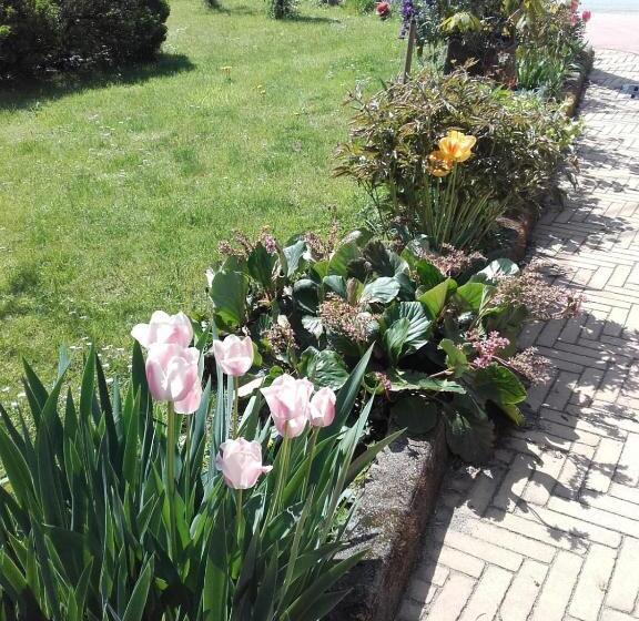 乡村酒店  Agriturismo Doremi