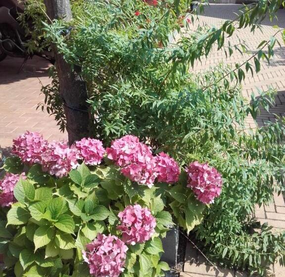 乡村酒店  Agriturismo Doremi