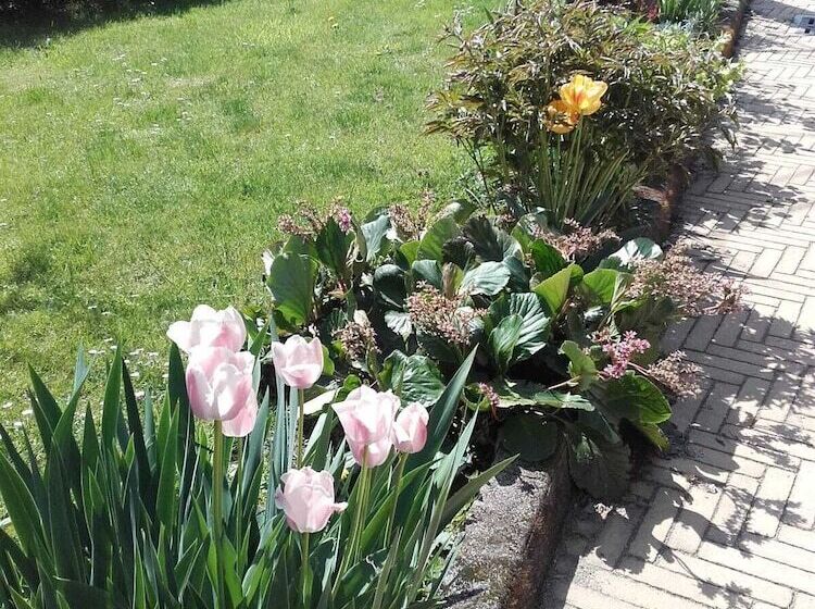 乡村酒店  Agriturismo Doremi