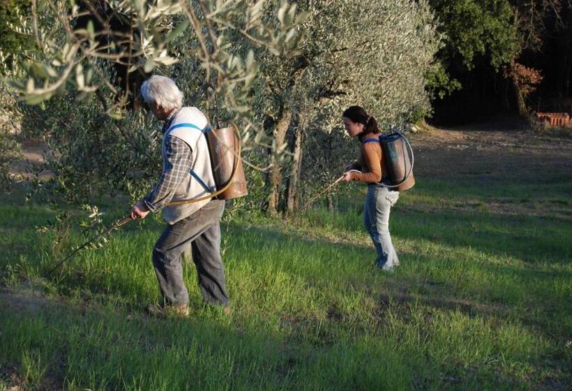 فندق ريفى Agriturismo Fattoria Walden