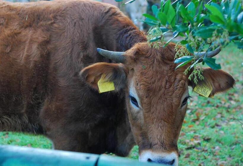 فندق ريفى Agriturismo Fattoria Walden