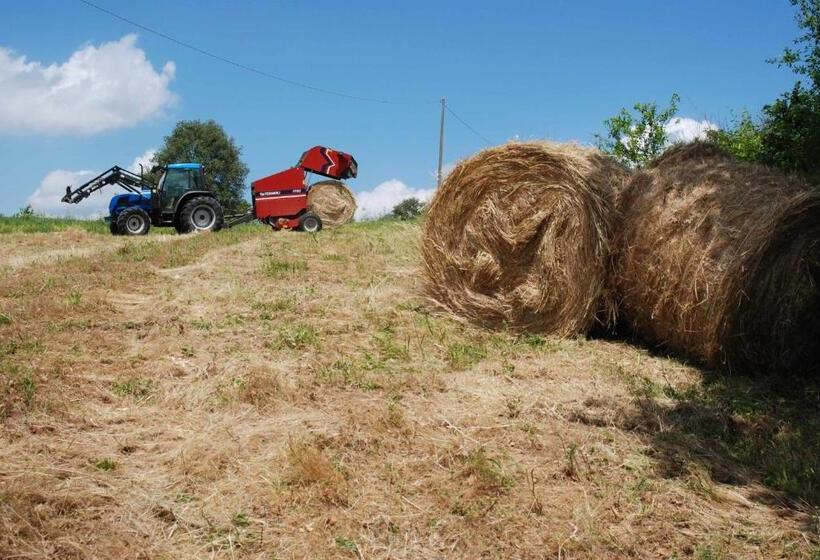 فندق ريفى Agriturismo Fattoria Walden