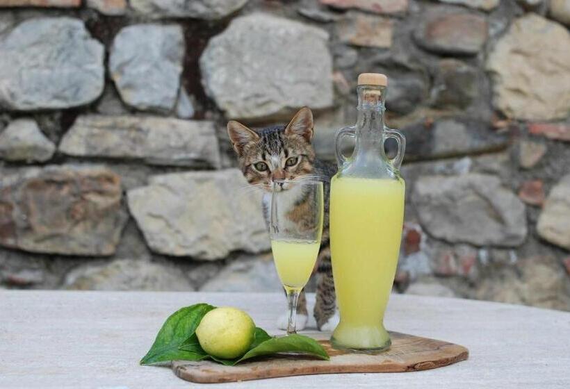 فندق ريفى Agriturismo Fattoria Walden