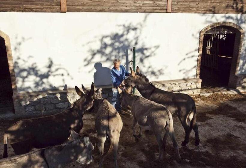 فندق ريفى Agriturismo Fattoria Walden