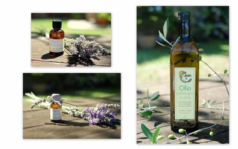 فندق ريفى Agriturismo Fattoria Walden