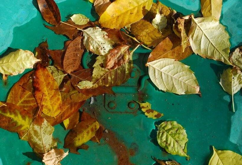 فندق ريفى Agriturismo Fattoria Walden