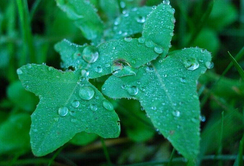 فندق ريفى Agriturismo Fattoria Walden