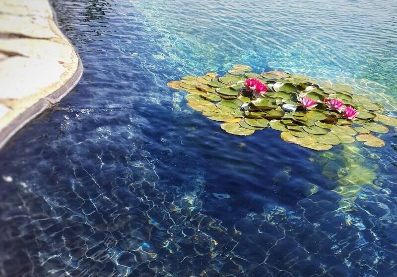 田舎風ホテル Agriturismo Il Poderino