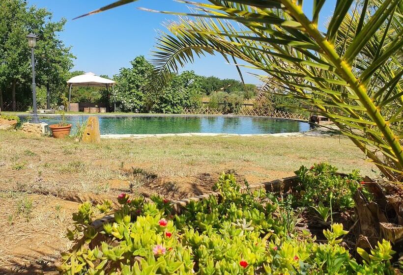 田舎風ホテル Agriturismo Il Poderino