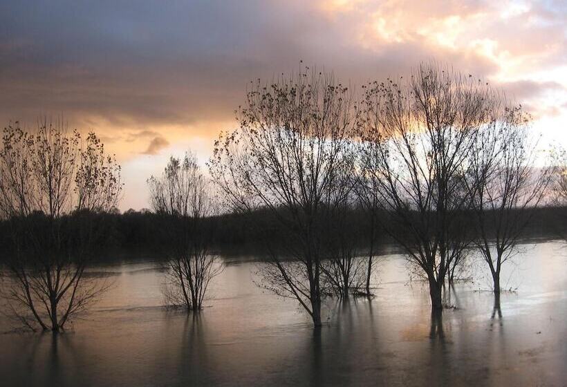 교외 호텔 Agriturismo La Rovere