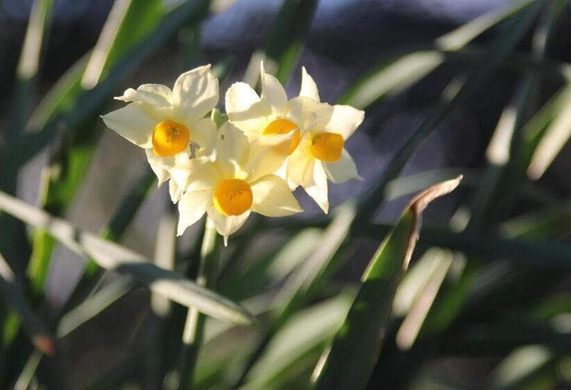 هتل روستایی Agriturismo La Talpa