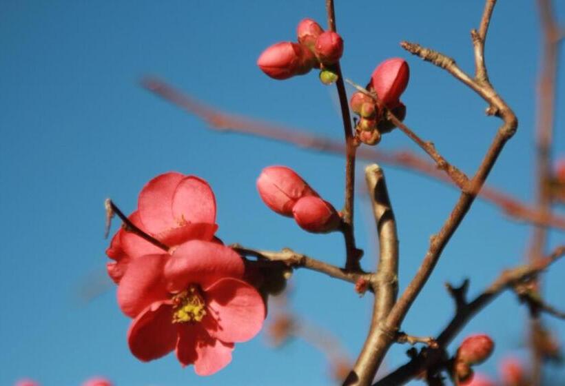 هتل روستایی Agriturismo La Talpa