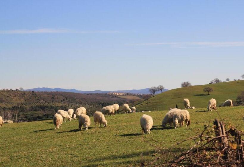 هتل روستایی Agriturismo La Talpa